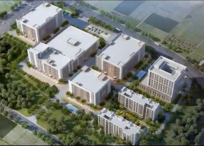Qingdao Meilianjia International Trade Co., Ltd linea di produzione in fabbrica