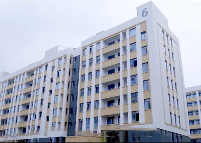 Qingdao Meilianjia International Trade Co., Ltd linea di produzione in fabbrica
