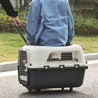 Cassa da viaggio sicura a doppia porta per gatti e cani con ruote e spazio super grande
