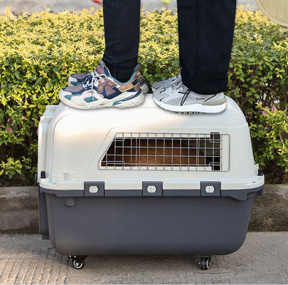 Borsa portatile per animali da compagnia con chiusura a bottone Cage per gatti di grande capacità per prodotti da viaggio