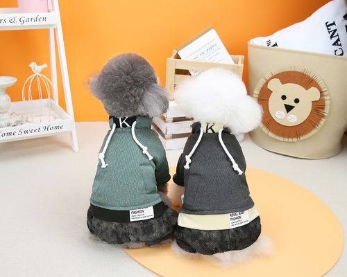 Indumenti da maglieria classici per animali domestici Dog Wool Hoodie Soft Sweater Abbigliamento per cani piccoli in inverno