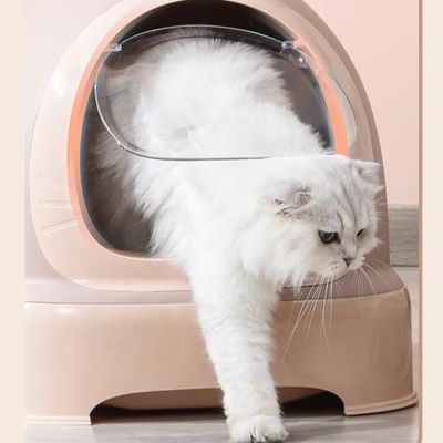 Scatola di plastica di pulizia automatica per gatti per più amici felini