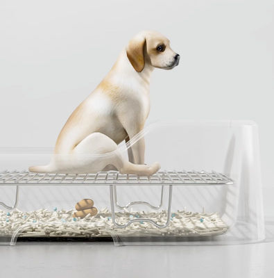 Conveniente vassoio per cani al coperto senza perdite di parete di protezione e design facile da pulire