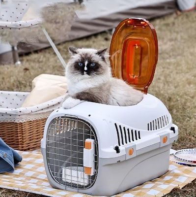Accessori per i viaggi in auto Cage di trasporto per animali da compagnia approvate per cuccioli e gatti di piccole o medie dimensioni