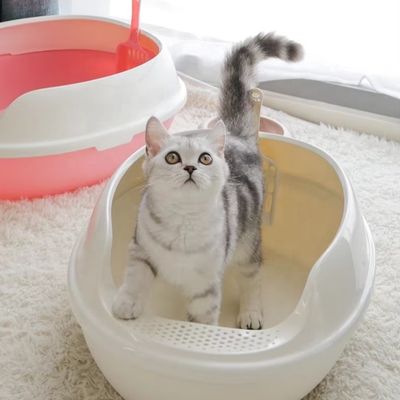 Bagno per gatti in plastica in PP grande anti-spruzzo con scatola aperta per gatti per interni