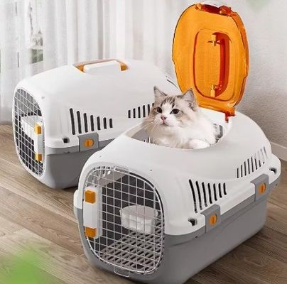 Casella portatile per animali da compagnia per animali da compagnia Accessori di viaggio per auto per il trasporto sostenibile dei gatti