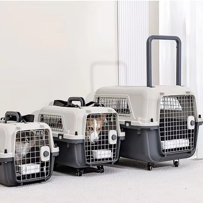 Casella di trasporto aereo per animali domestici per cani e gatti di piccola taglia