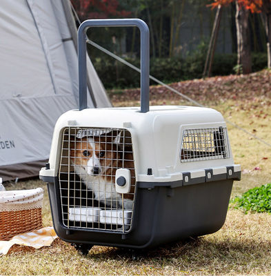 Casella di trasporto aereo per animali domestici per cani e gatti di piccola taglia