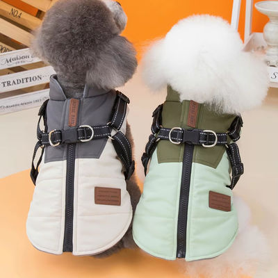 Servizio di personalizzazione fornito per cani da compagnia per il caldo e denso autunno e l' orso invernale