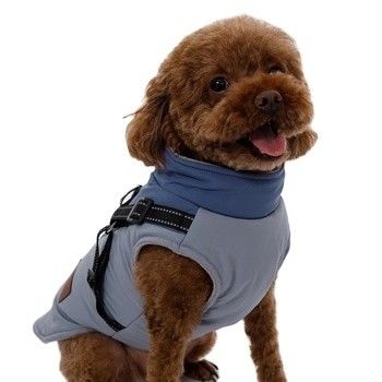 Servizio di personalizzazione fornito per cani da compagnia per il caldo e denso autunno e l' orso invernale