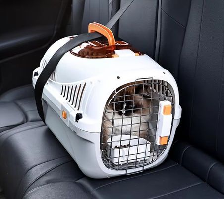 Scatola di trasporto per animali da viaggio traspirante per animali domestici di piccole dimensioni