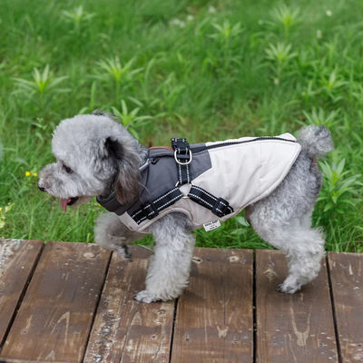 Servizio di personalizzazione fornito per cani da compagnia per il caldo e denso autunno e l' orso invernale
