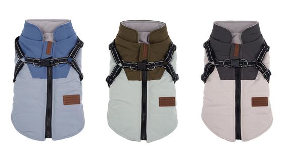 Servizio di personalizzazione fornito per cani da compagnia per il caldo e denso autunno e l' orso invernale