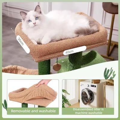 Arredamento per gatti Casa per animali Sisal corda Albero per gatti per arrampicata e per gatti didattici
