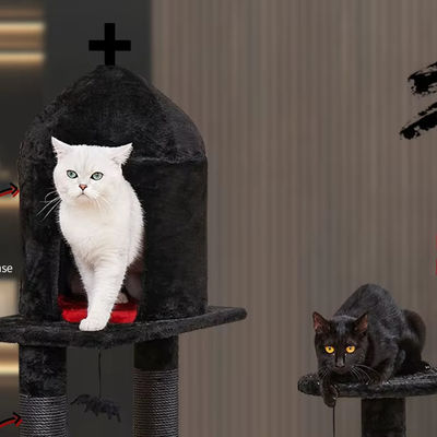 Attività per gatti a più livelli Arredamento lusso Siasl Albero per gatti con palla appesa al ragno