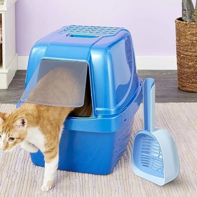 Pulizia di lettiera per gatti Blu facile Scavo Scavo accessori Scavo a setaccio semplice