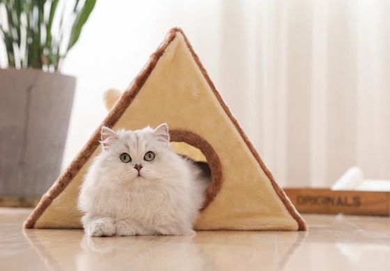 Arredamento per gatti Casa per animali di lusso Forma triangolare Letti per gatti Nido per gatti Cogliente Dog molle pieghevole