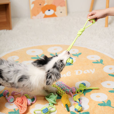 Cane cucciolo corda giocattoli da masticare set corda di cotone giocattolo interattivo per piccoli medi grandi cani