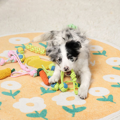 Cane cucciolo corda giocattoli da masticare set corda di cotone giocattolo interattivo per piccoli medi grandi cani