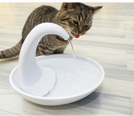 Fontana per animali da compagnia La scelta perfetta per le esigenze idriche del vostro animale domestico
