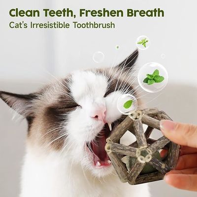 Giocattolo per gatti Silvervine per giocare da soli e pulire i denti realizzato con Polygonum Arboreum naturale