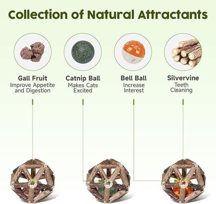 Giocattolo per gatti Silvervine per giocare da soli e pulire i denti realizzato con Polygonum Arboreum naturale
