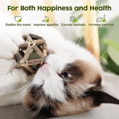 Giocattolo per gatti Silvervine per giocare da soli e pulire i denti realizzato con Polygonum Arboreum naturale