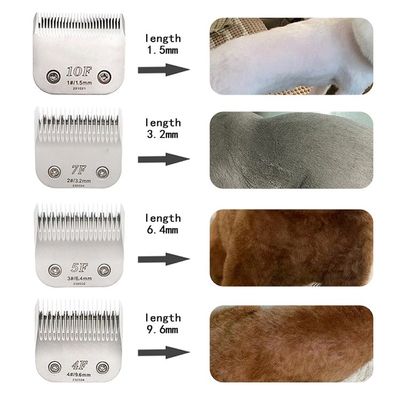 Strumento di pulizia a batteria per animali domestici di grandi dimensioni