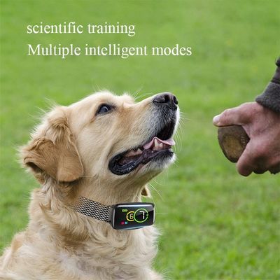 4 modalità di funzionamento Collare per abbaiare il cane con logo personalizzato Acceptabile batteria ricaricabile