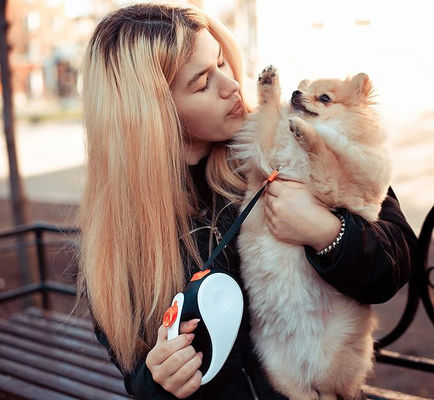 Legnano automatico per cani da compagnia in nylon con lunghezza regolabile