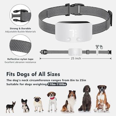 Collare di controllo automatico ricaricabile per addestramento del cane