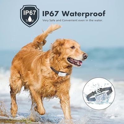 Collare di controllo automatico ricaricabile per addestramento del cane