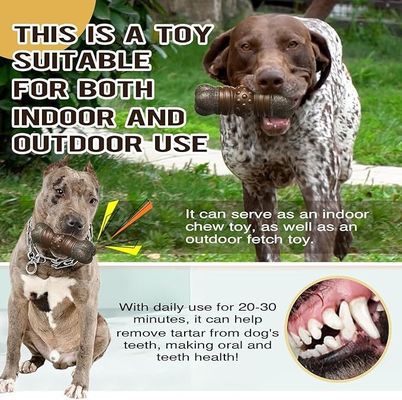 Stile di moda sostenibile Cane Gioco strillato bastone Osso per la pulizia dei denti giocattoli da masticare