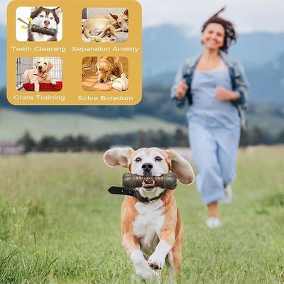 Stile di moda sostenibile Cane Gioco strillato bastone Osso per la pulizia dei denti giocattoli da masticare