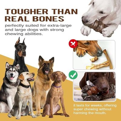 Stile di moda sostenibile Cane Gioco strillato bastone Osso per la pulizia dei denti giocattoli da masticare