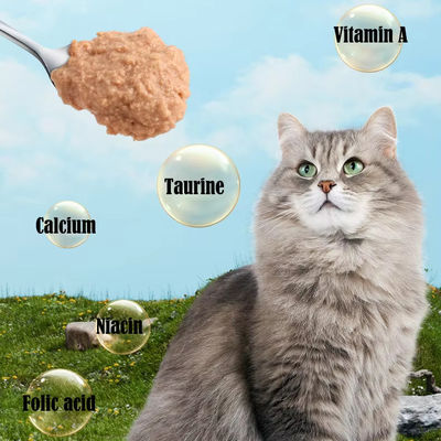 Produttore OEM professionista alimenti bagnati per gatti alimenti per gatti 85g alimenti per animali domestici