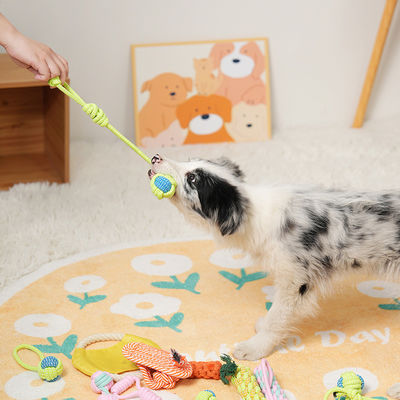 Set di giocattoli a corda per cuccioli di cotone da 7 pezzi Perfetto per giochi e esercizi interattivi