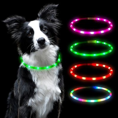 Collare per cani USB ricaricabile illuminato con collari per animali da compagnia variabili di colore