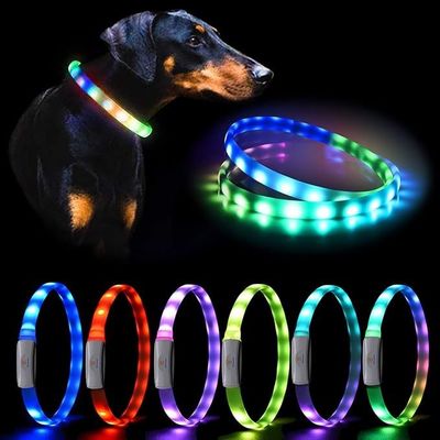 Collare per cani USB ricaricabile illuminato con collari per animali da compagnia variabili di colore