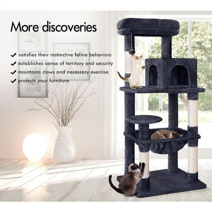 Servizio di personalizzazione Fornito 143cm Cat Tree con Plush Perch Multi-Level Cat Tower