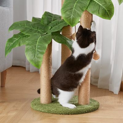 Cat Coconut Palm Tree Climbing Frame con scratch pole naturale Sisal e palle sospese