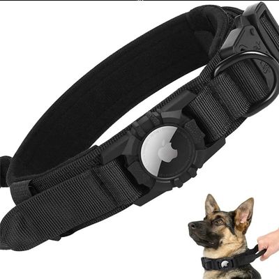 Collare di allenamento per cani di nylon per correre camminare escursioni Airtag Tracker Protective Case ora