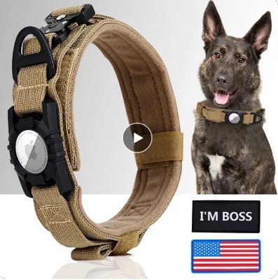 Collare di allenamento per cani di nylon per correre camminare escursioni Airtag Tracker Protective Case ora