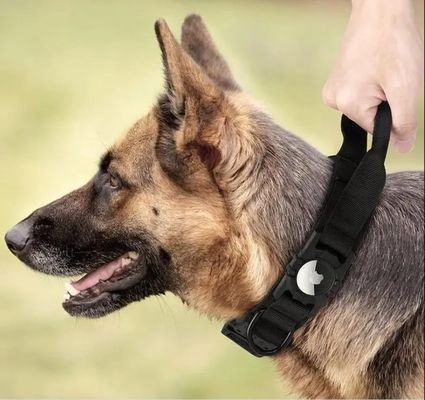 Collare di allenamento per cani di nylon per correre camminare escursioni Airtag Tracker Protective Case ora