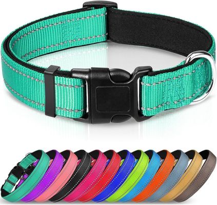 Collare e guinzaglio regolabile in nylon riflettente per cani da compagnia con neoprene morbido