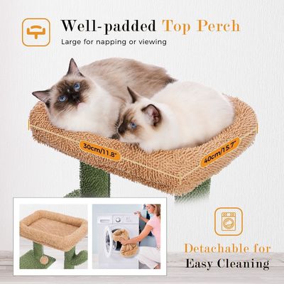 Legno Modern Cat Sisal Scratcher Cactus Cat Albero con Amaca e Raschietto