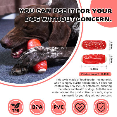 Cane da masticare forte e durevole per masticatori aggressivi Stile di moda