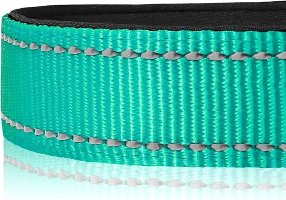 Collare da cane con imbottito di neoprene morbido con riflettore impermeabile C-01