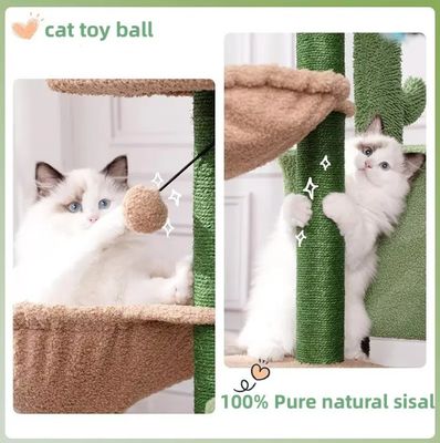 Gatto che si gratta la casa giocattolo piccolo gatto verde albero cactus gattino grattatore per gatti interni