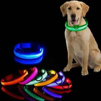 Collare da cane regolabile impermeabile lampeggiante per passeggiate notturne personalizzato